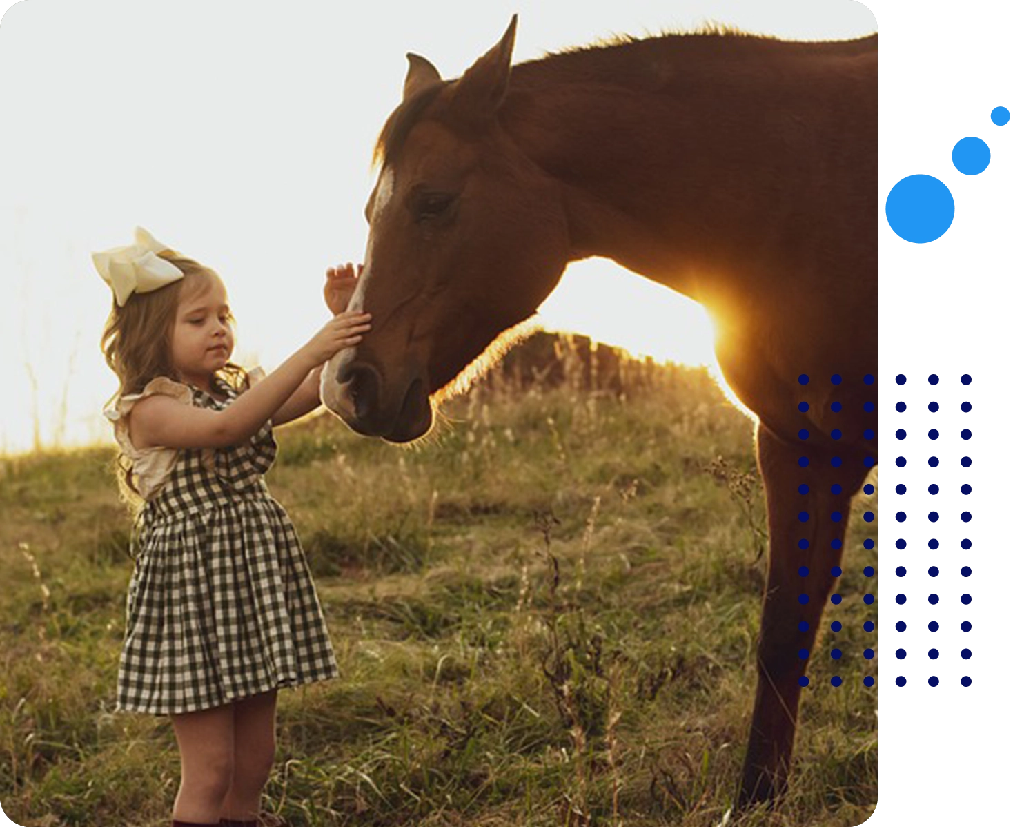 A little girl petting the face of a horse.