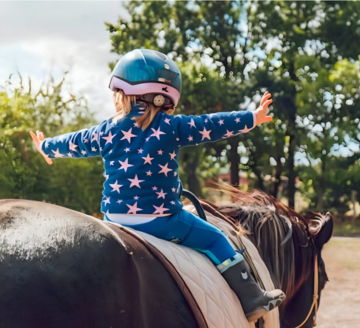 A little girl riding on the back of a horse.