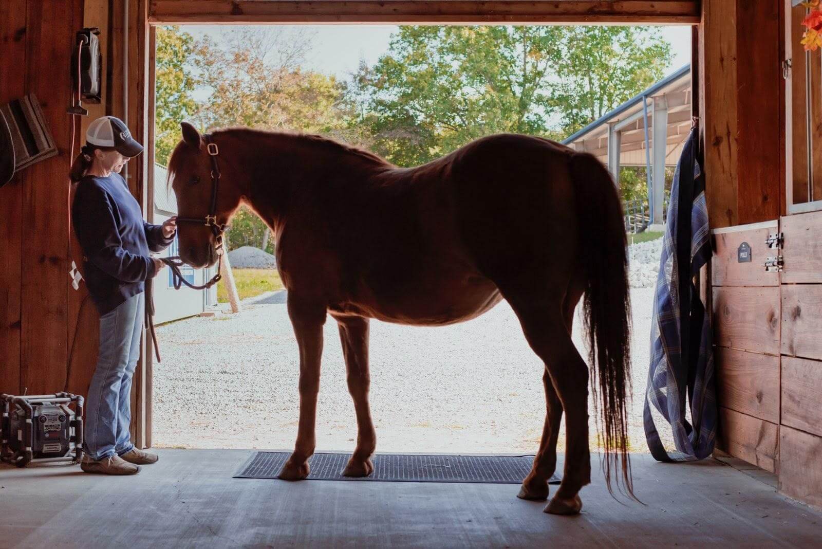 Person with horse in wooden stable.